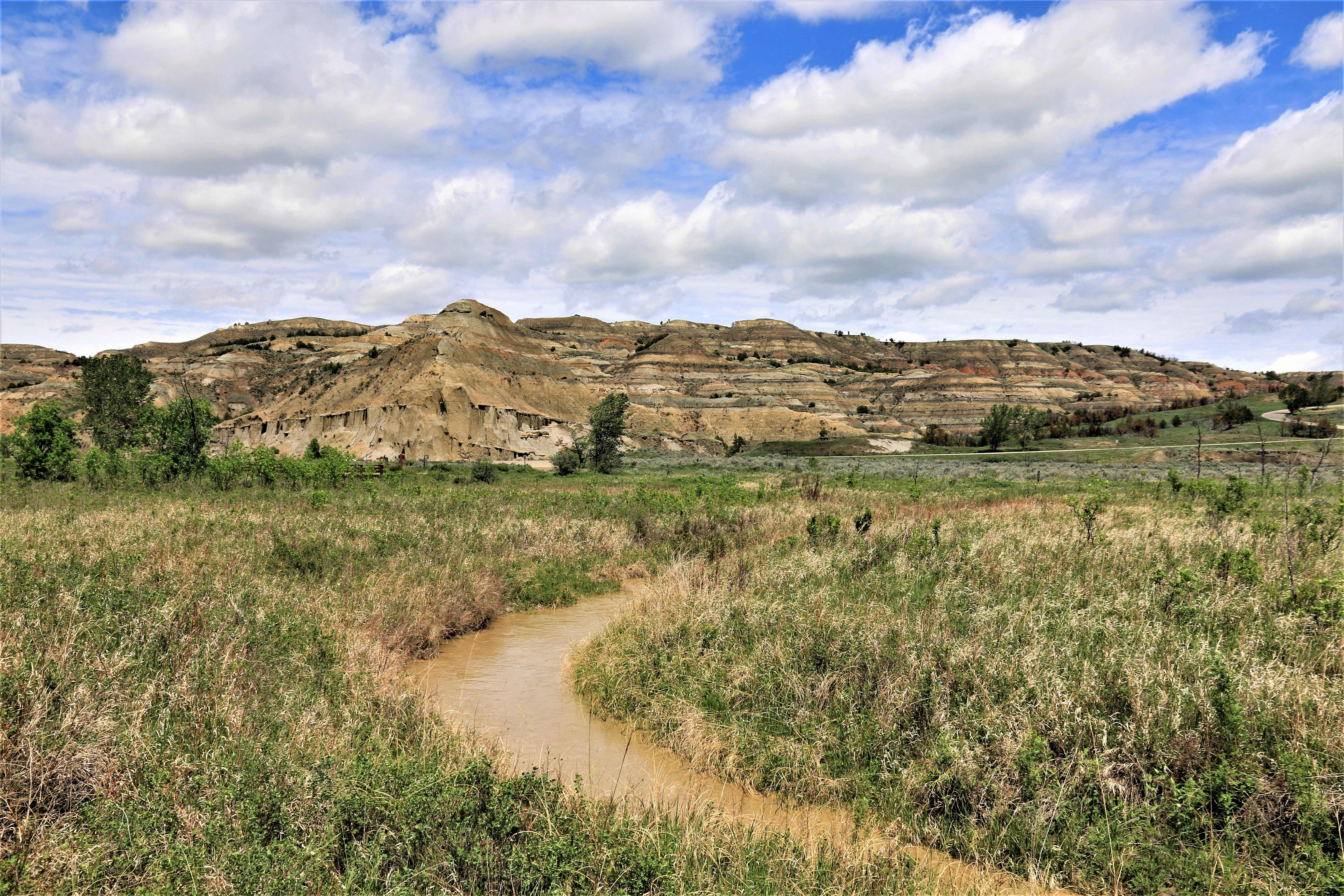 Theodore Roosevelt NP